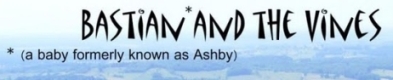 http://ashbywines.blogspot.com/